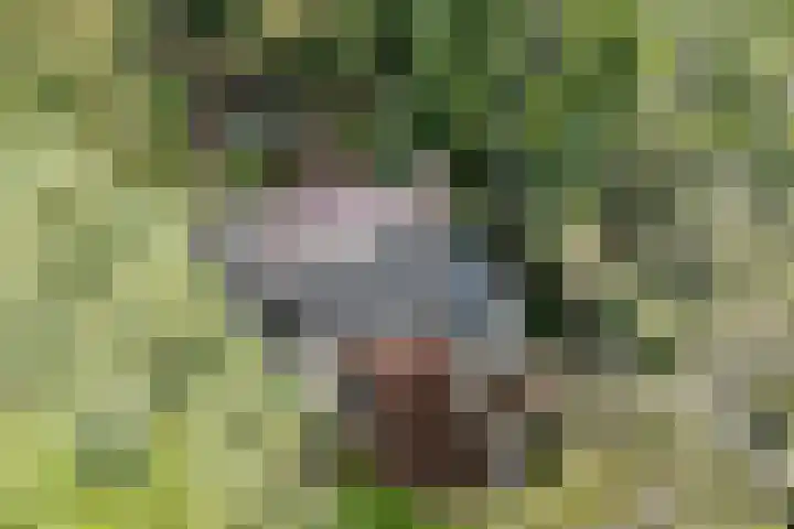 Plesmanlaan 14 c Nunspeet thumbnail 11