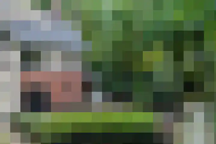 Plesmanlaan 14 c Nunspeet thumbnail 12