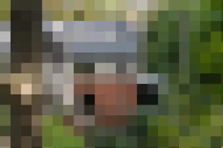 Plesmanlaan 14 c Nunspeet thumbnail 13