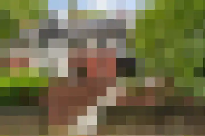 Plesmanlaan 14 c Nunspeet thumbnail 14