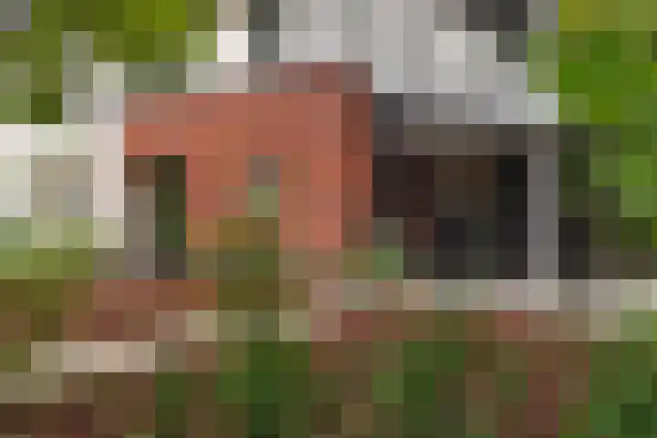 Plesmanlaan 14 c Nunspeet thumbnail 15