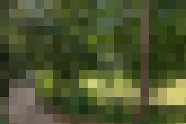 Plesmanlaan 14 c Nunspeet thumbnail 36