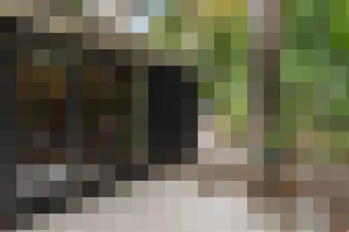 Plesmanlaan 14 c Nunspeet thumbnail 42