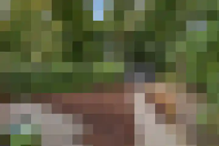 Plesmanlaan 14 c Nunspeet thumbnail 43
