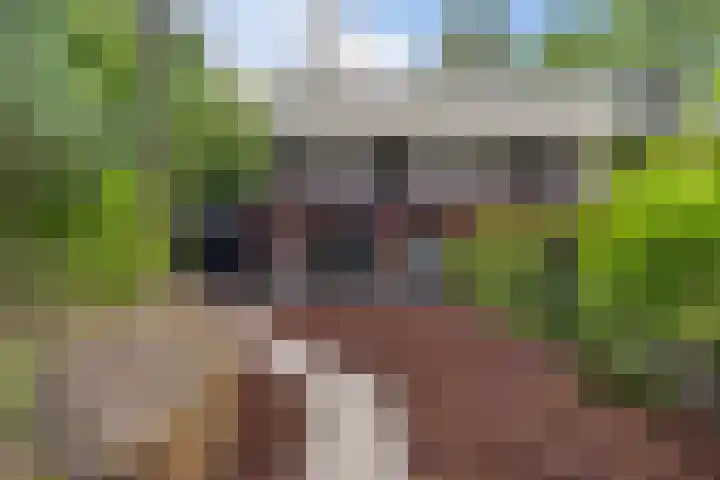 Plesmanlaan 14 c Nunspeet thumbnail 45