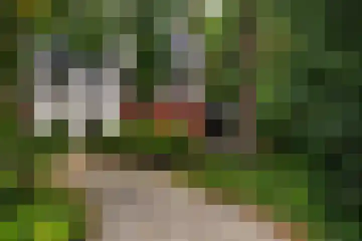 Plesmanlaan 14 c Nunspeet thumbnail 48