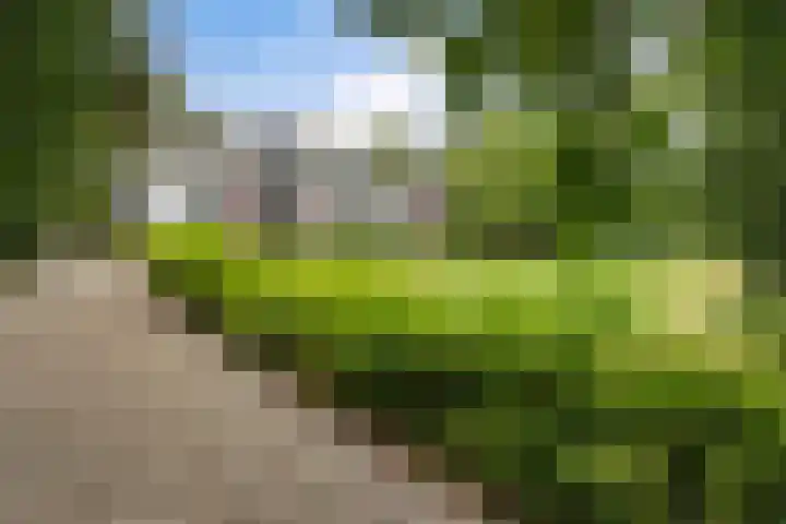 Plesmanlaan 14 c Nunspeet thumbnail 49
