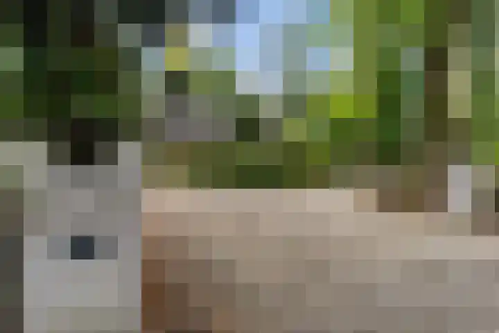 Plesmanlaan 14 c Nunspeet thumbnail 51