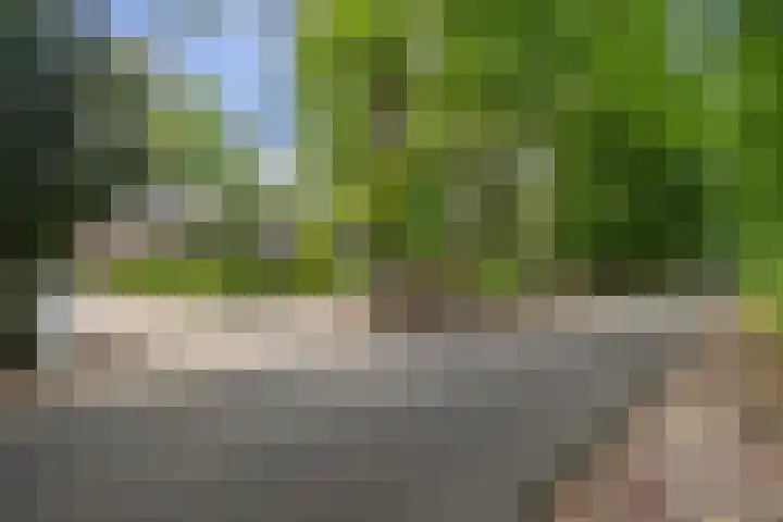 Plesmanlaan 14 c Nunspeet thumbnail 53