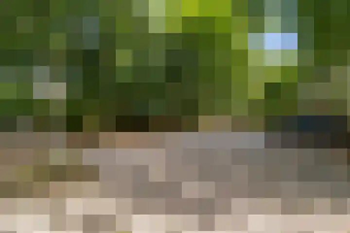 Plesmanlaan 14 c Nunspeet thumbnail 54