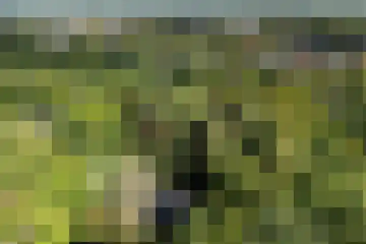 Plesmanlaan 14 c Nunspeet thumbnail 55