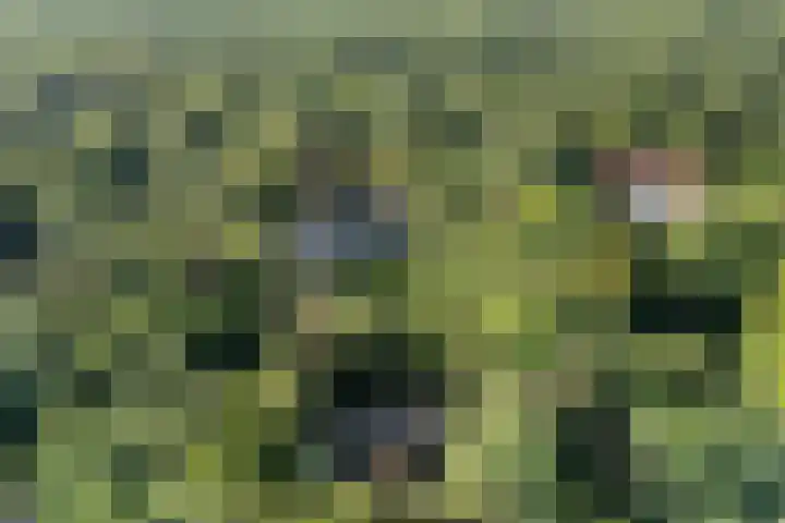 Plesmanlaan 14 c Nunspeet thumbnail 56