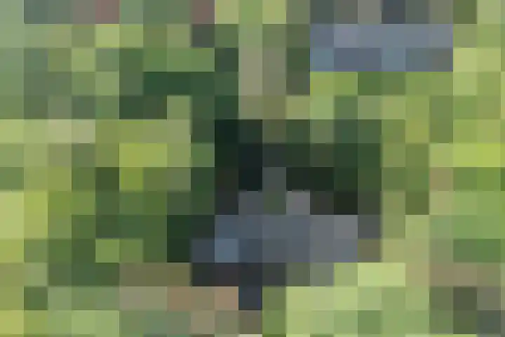 Plesmanlaan 14 c Nunspeet thumbnail 57