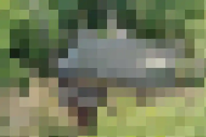 Plesmanlaan 14 c Nunspeet thumbnail 8