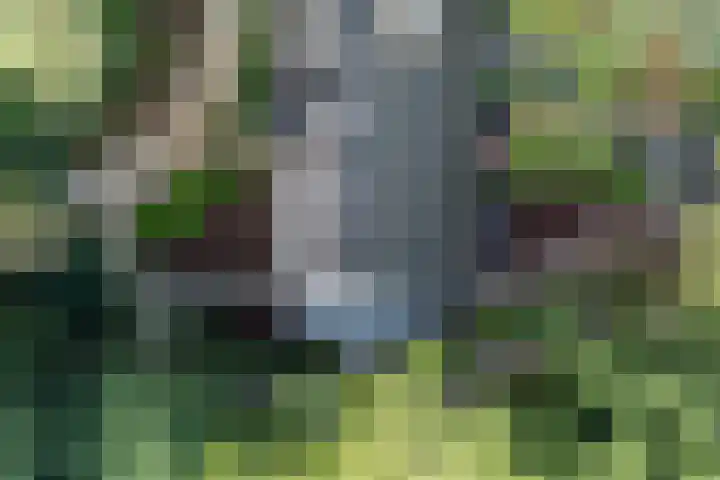 Plesmanlaan 14 c Nunspeet thumbnail 9