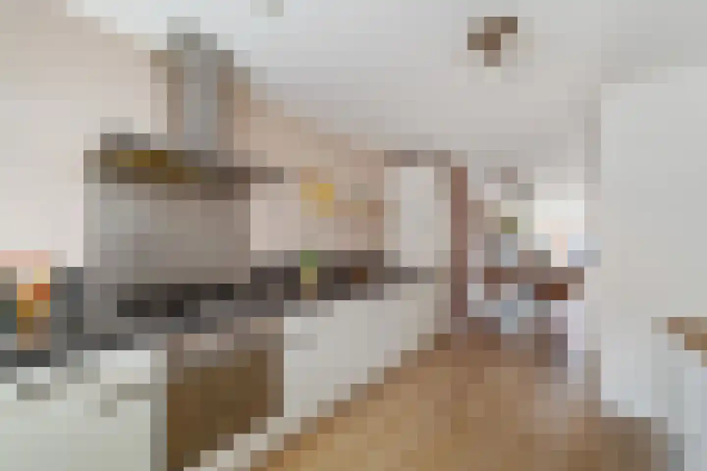 Plesmanlaan 156 Den Haag thumbnail 4