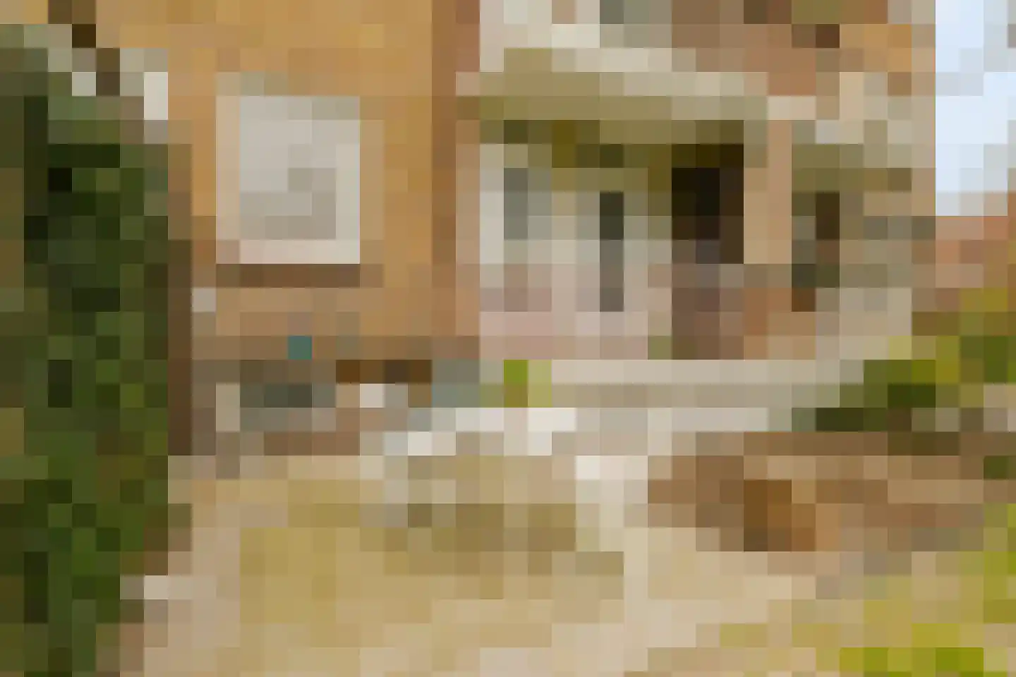 Plesmanlaan 16 Haarlem thumbnail 27