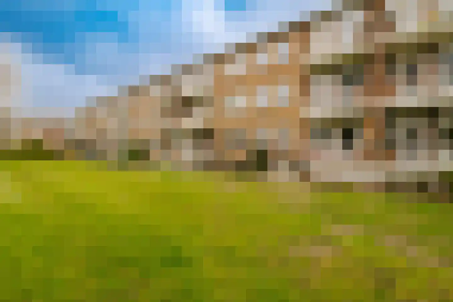 Plesmanlaan 16 Haarlem thumbnail 29