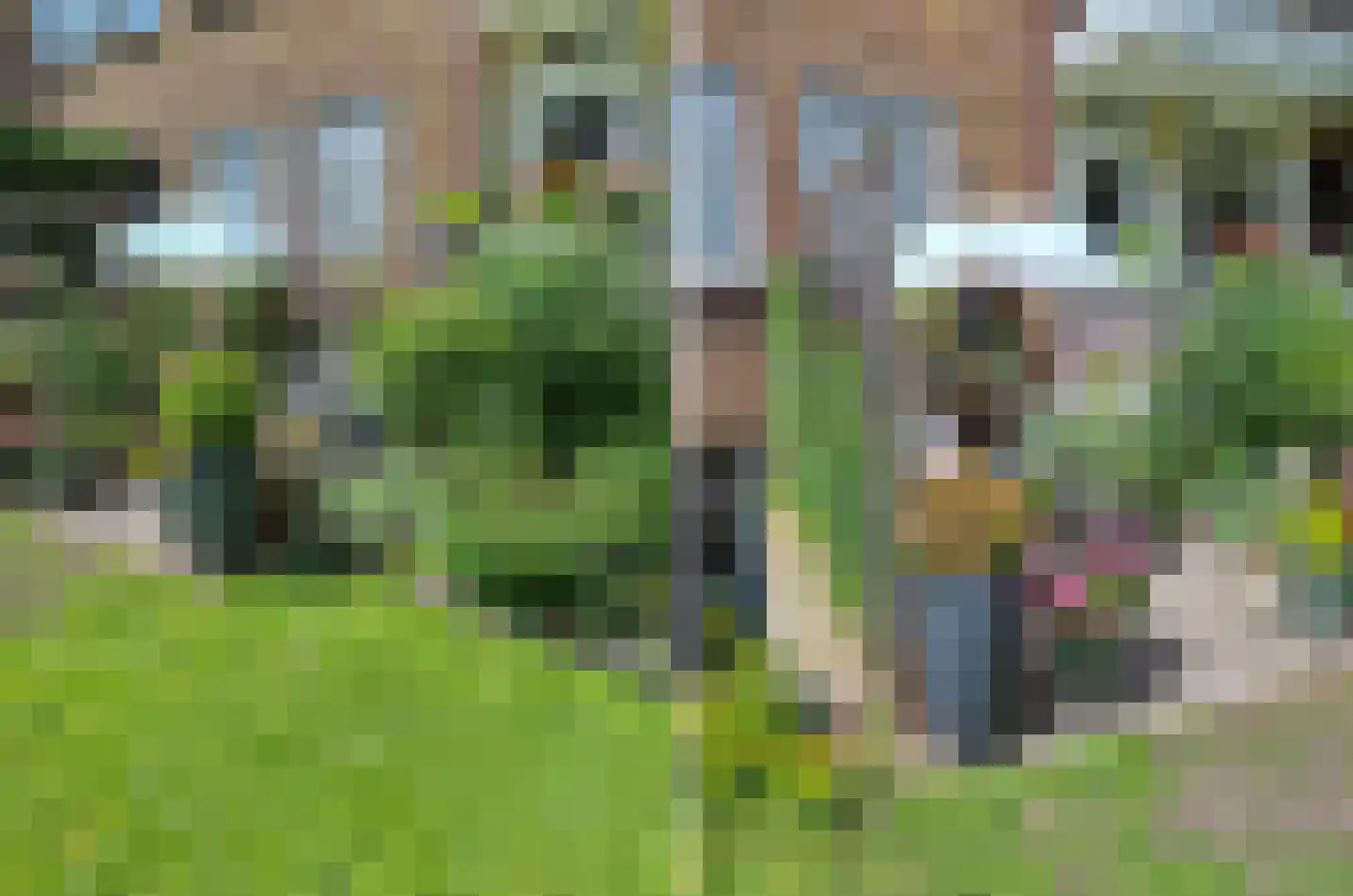 Plesmanlaan 16 Haarlem thumbnail 31