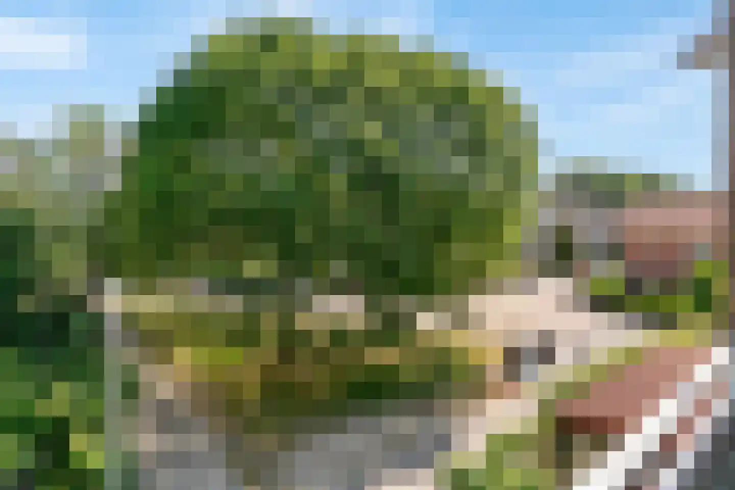 Plesmanlaan 17 Badhoevedorp thumbnail 31
