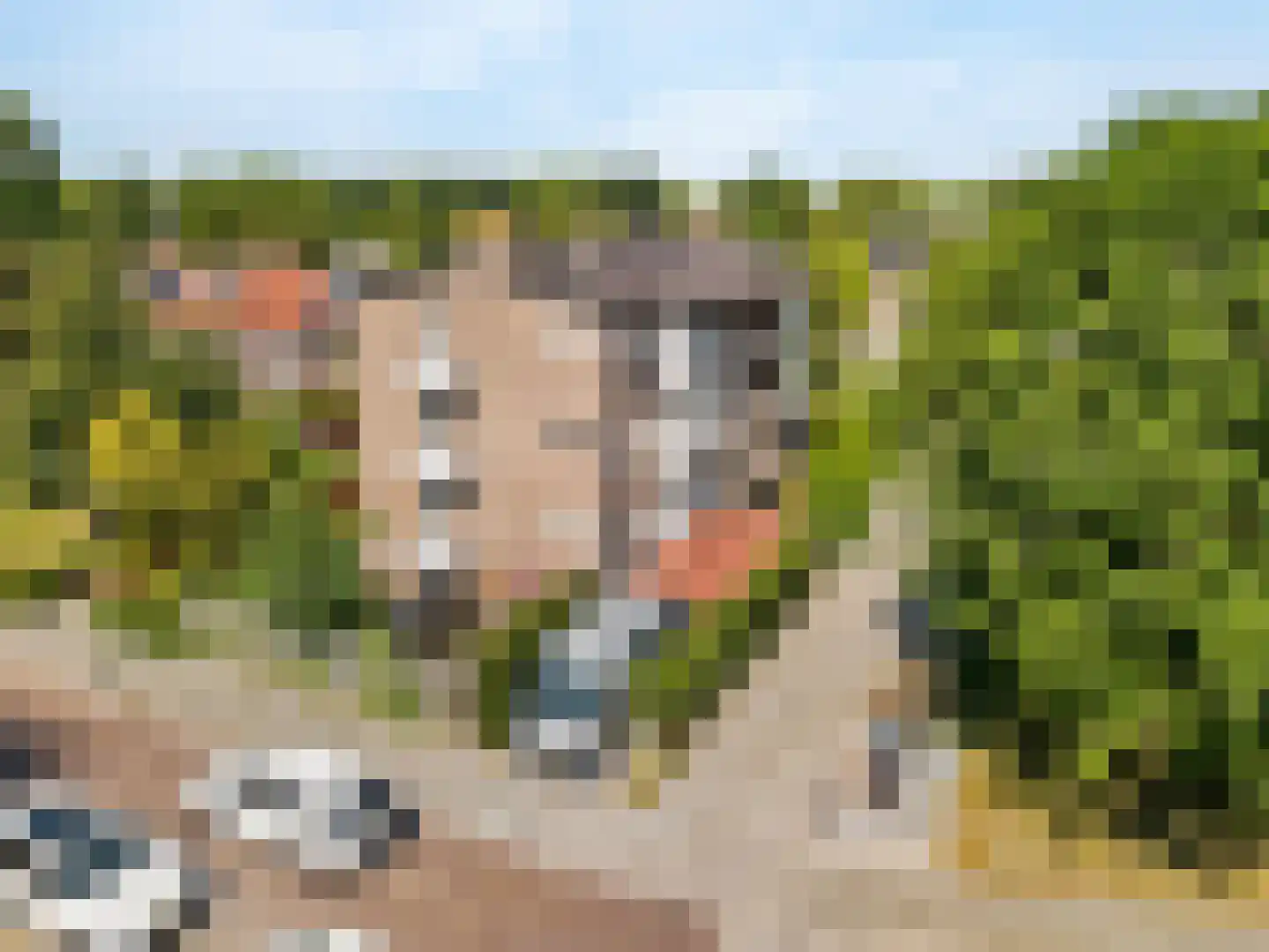 Plesmanlaan 17 Badhoevedorp thumbnail 33