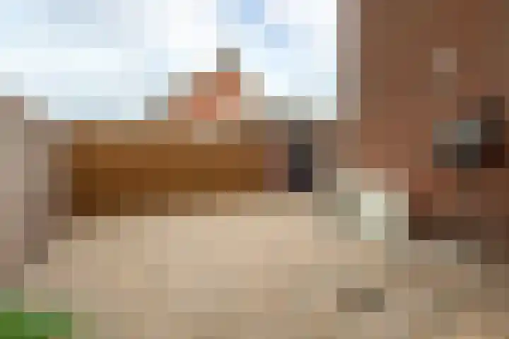Plesmanlaan 19 Hoogerheide thumbnail 34