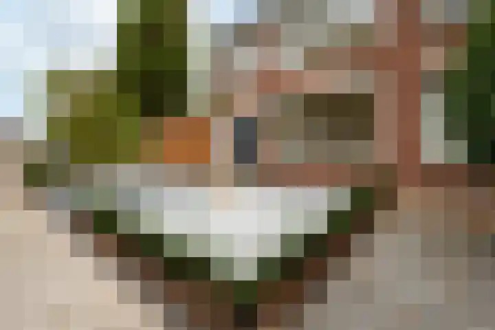 Plesmanlaan 19 Hoogerheide thumbnail 40