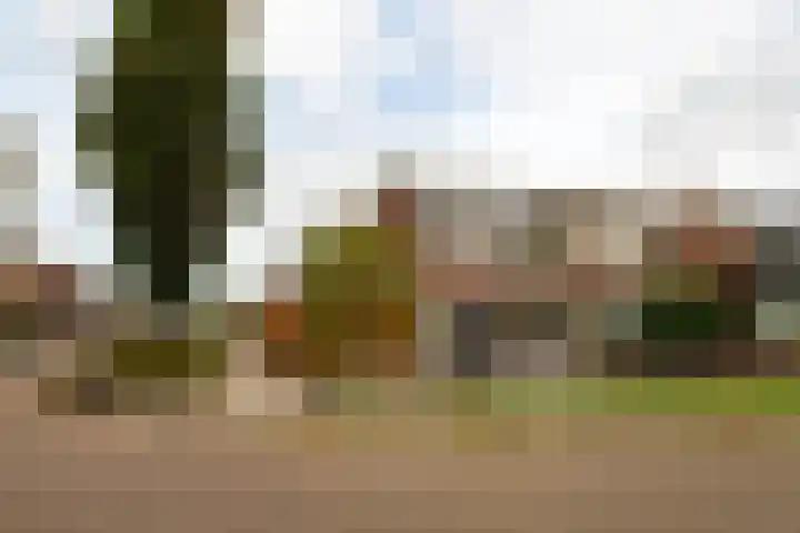 Plesmanlaan 19 Hoogerheide thumbnail 41