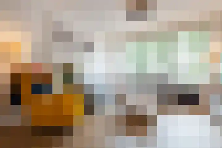 Plesmanlaan 19 Hoogerheide thumbnail 6