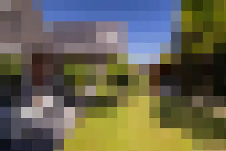 Plesmanlaan 23 Nunspeet thumbnail 10