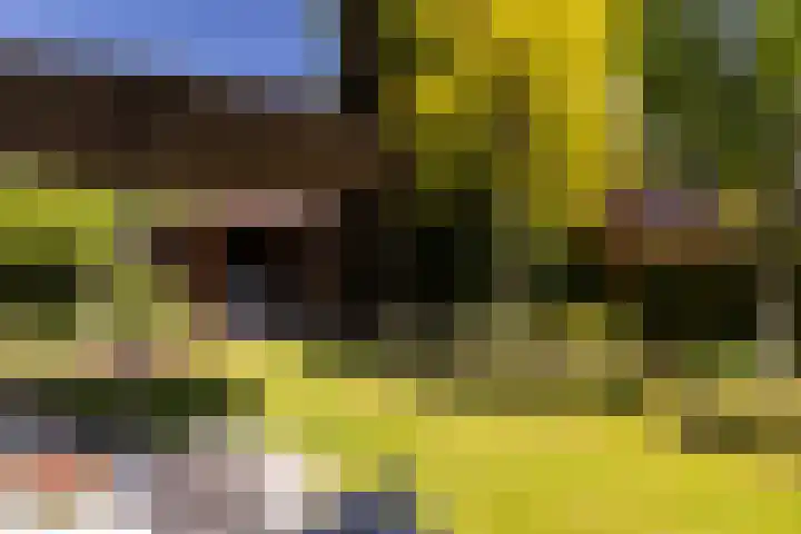 Plesmanlaan 23 Nunspeet thumbnail 11