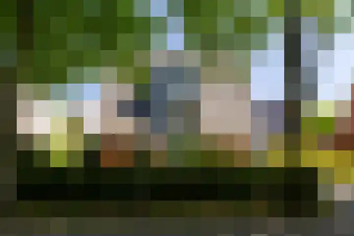 Plesmanlaan 23 Nunspeet thumbnail 12