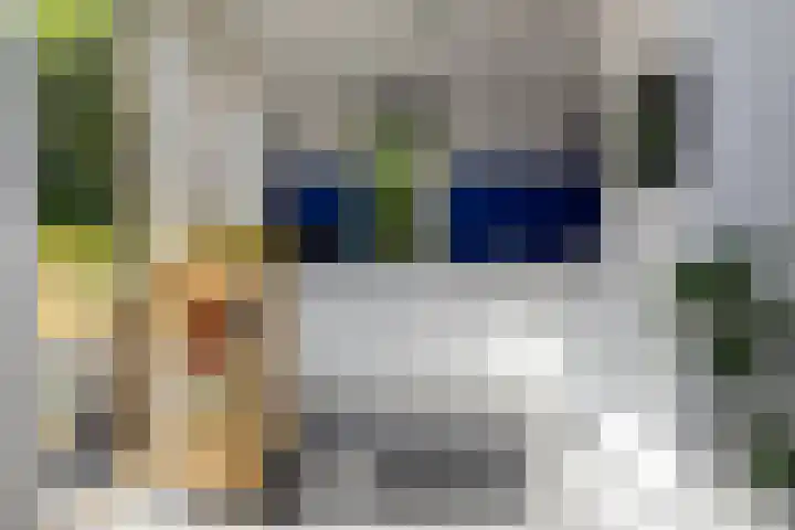 Plesmanlaan 23 Nunspeet thumbnail 16
