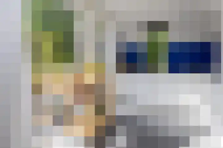Plesmanlaan 23 Nunspeet thumbnail 18