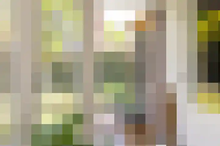 Plesmanlaan 23 Nunspeet thumbnail 20