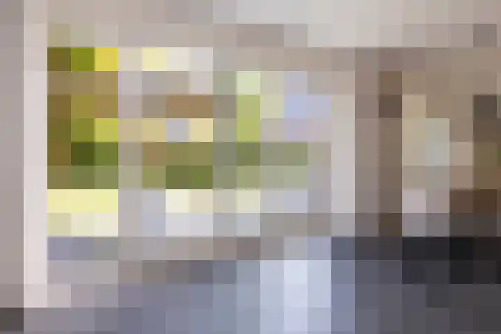 Plesmanlaan 23 Nunspeet thumbnail 22