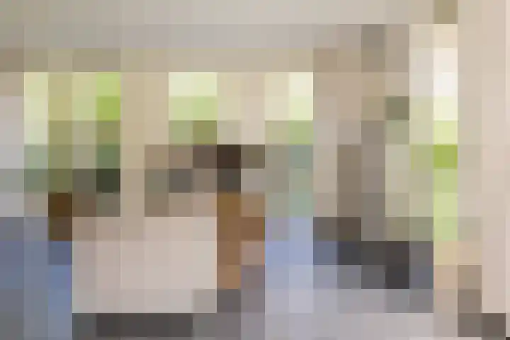 Plesmanlaan 23 Nunspeet thumbnail 25