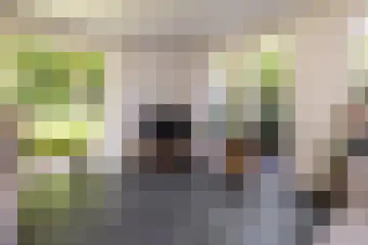 Plesmanlaan 23 Nunspeet thumbnail 26