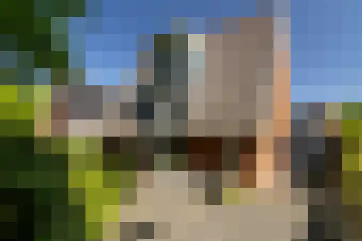 Plesmanlaan 23 Nunspeet thumbnail 4