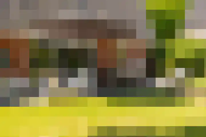 Plesmanlaan 23 Nunspeet thumbnail 43
