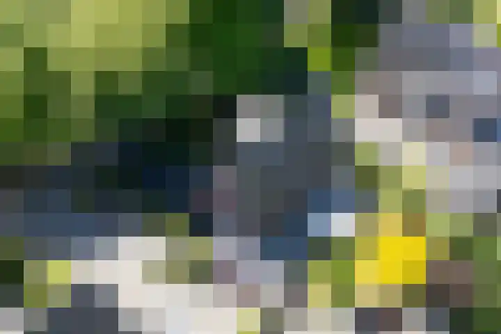 Plesmanlaan 23 Nunspeet thumbnail 44