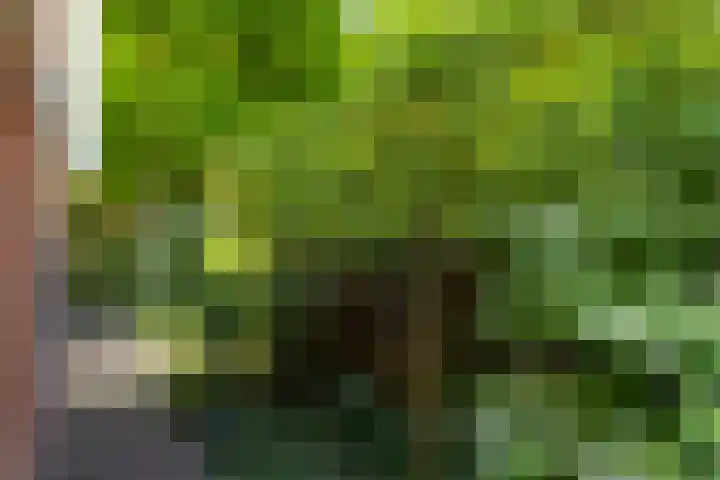 Plesmanlaan 23 Nunspeet thumbnail 46