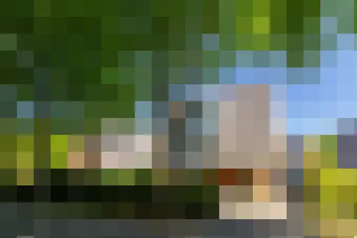 Plesmanlaan 23 Nunspeet thumbnail 47