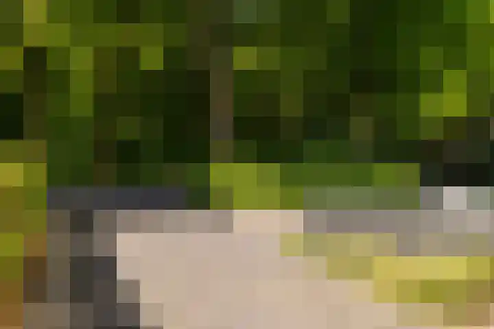 Plesmanlaan 23 Nunspeet thumbnail 7