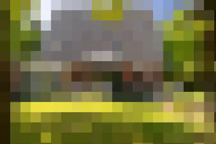 Plesmanlaan 23 Nunspeet thumbnail 8