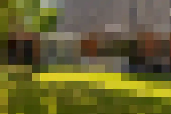 Plesmanlaan 23 Nunspeet thumbnail 9