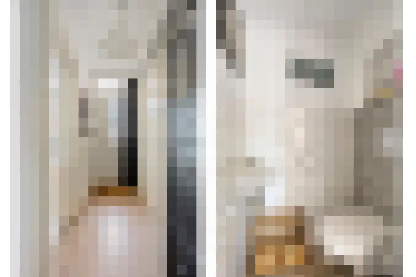 Plesmanlaan 24 Helmond thumbnail 12