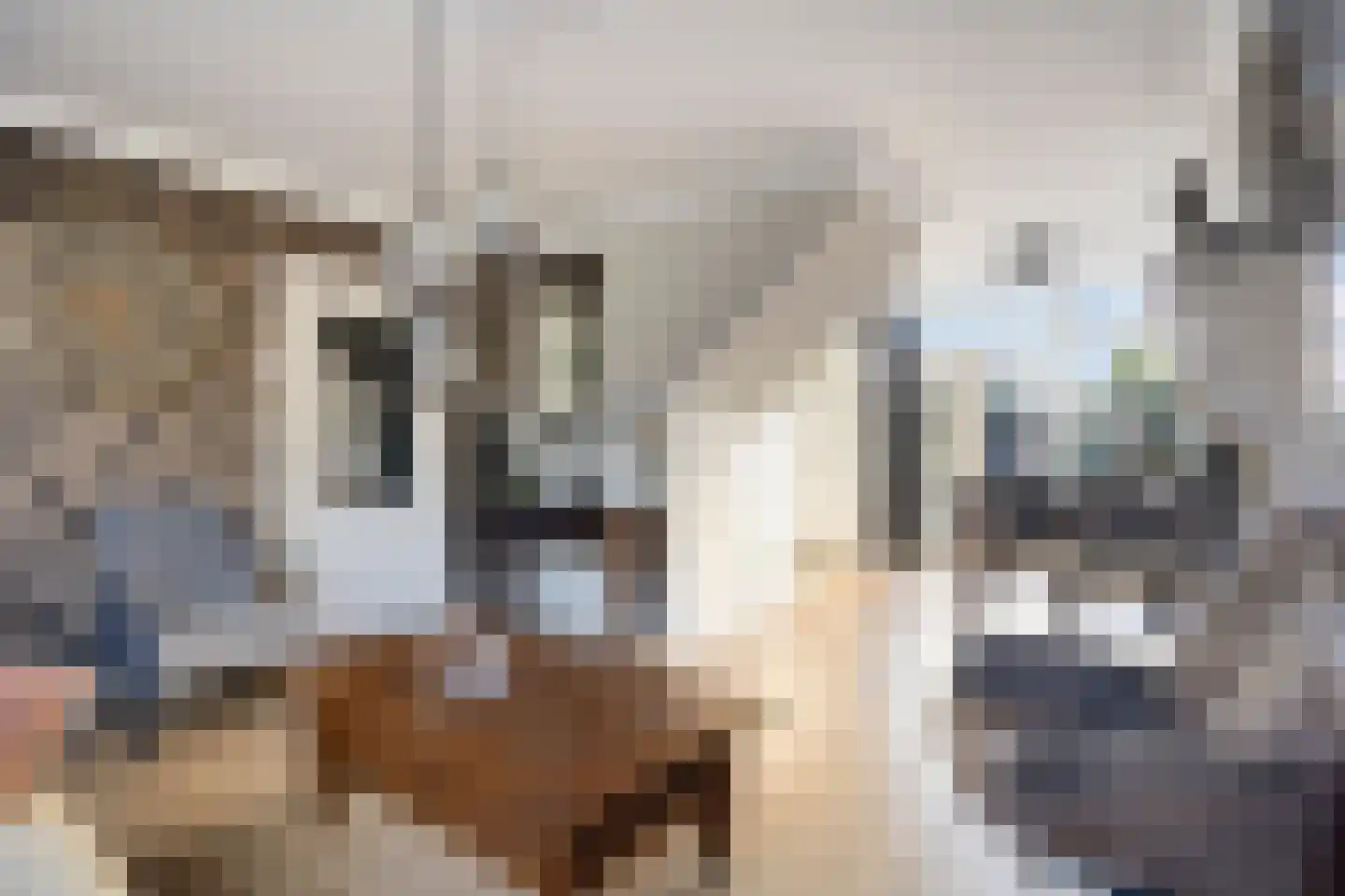 Plesmanlaan 24 Helmond thumbnail 17