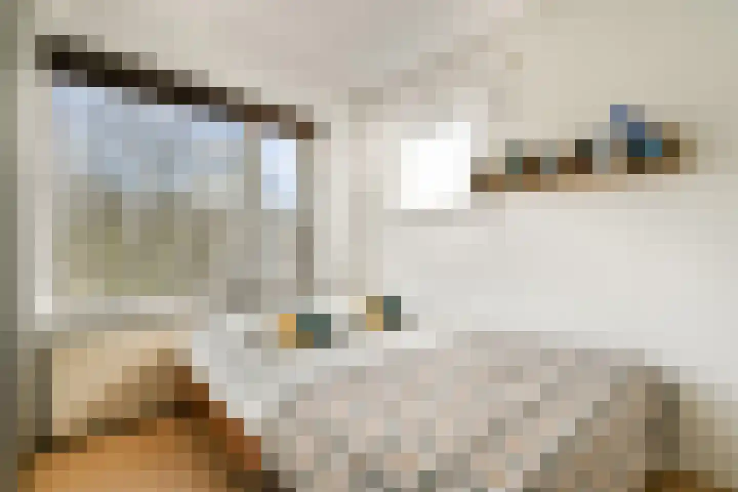 Plesmanlaan 25 Badhoevedorp thumbnail 14