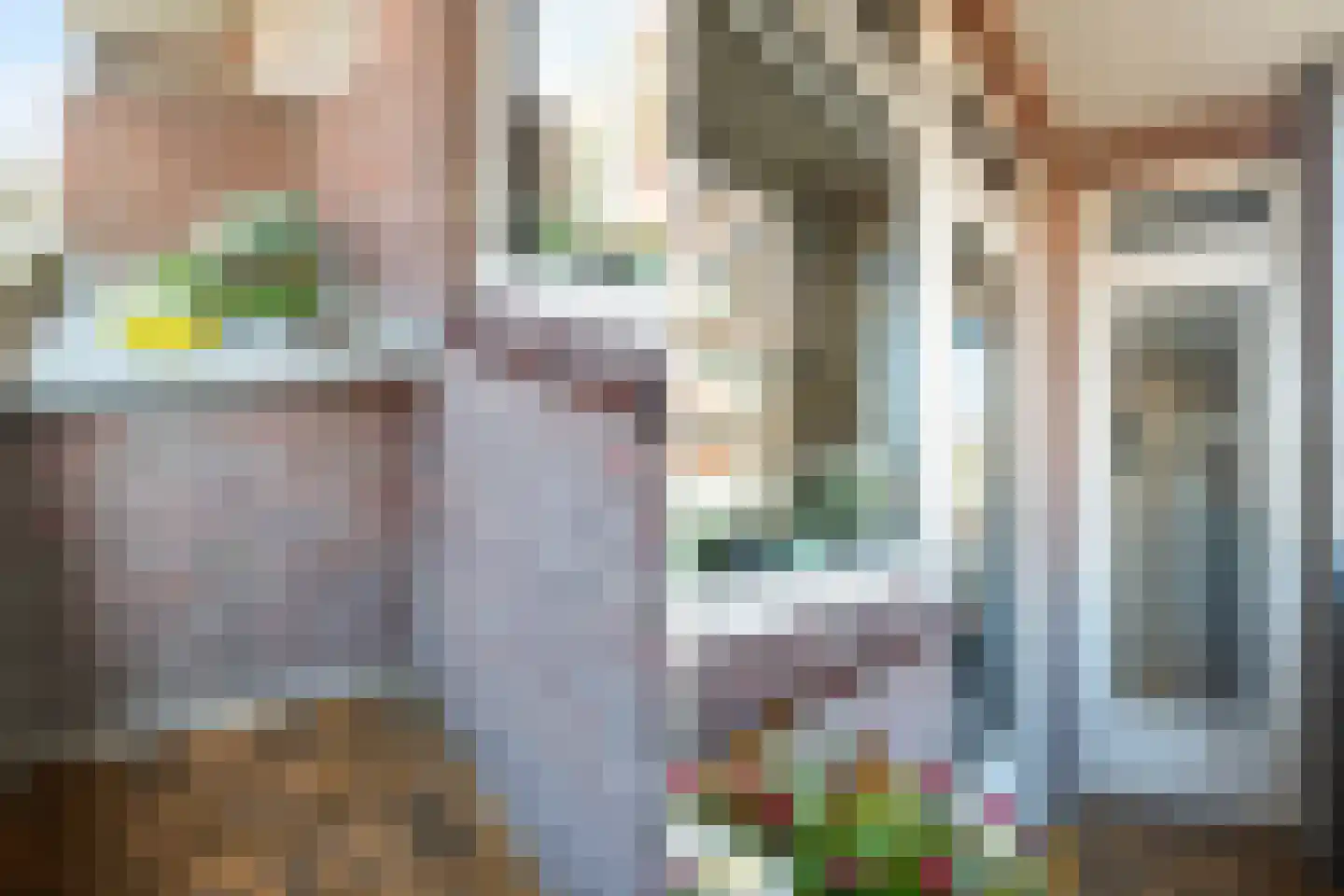 Plesmanlaan 26 Haarlem thumbnail 17